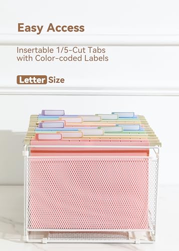 SortRax Plastic Hanging File Folders, Letter Size, 12 Pack Pastel Hanging Folders, with Insertable 1/5-Cut Tabs for Filing Cabinets image 6