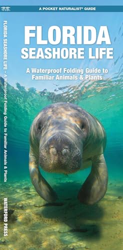 Florida Seashore Life, 2nd Ed: A Folding Guide to Familiar Animals & Plants (Nature Observation North America)