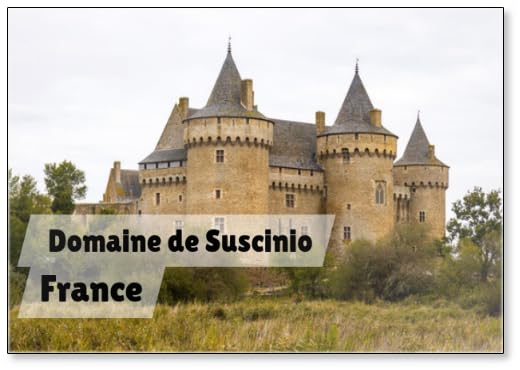 Domaine De Suscinio - Frankreich 6, Fridge Magnet