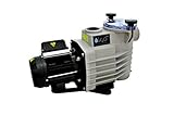 Bomba para piscina 1 cv autoaspirante 17.000 l/h