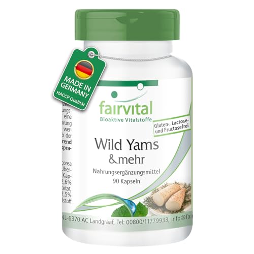 Fairvital | Cápsulas de ñame silvestre - Complejo menopausia - 90 cápsulas - con vitamina C y E, betacaroteno, zinc y selenio - calidad comprobada y alta dosis - 100% vegano - Fabricado en Alemania