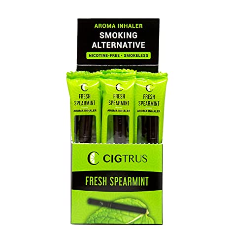 Cigtrus Oral Fixation Craving Relief Quit Smoking Aid Tobacco Free Nicotine Free Non-Electric Natural Support Fresh Spearmint Flavor Oxygen Inhaler 20/Ct #TOP6