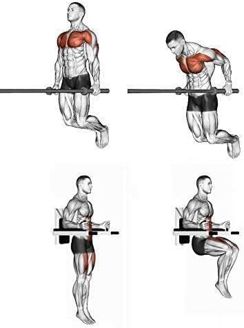 Miniatura 7 de Estación de inmersión de montaje en pared con 4 barras de mango acolchadas, resistente