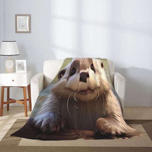 Couverture loutre contre les nuits fraîches, jeté de lit thermique