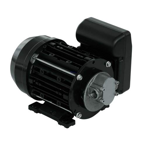 PIUSI Zahnradpumpe für Wasser-, Diesel- und Ölumfüllung, 230V/50Hz Stromversorgung, Fördermenge 10 l/min, Anschlüsse 3/8" BSP | GARDA 5 NMT450006