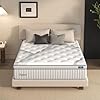 Queen mattresses diglant 14 inch plush hybrid mattress queen size memory foam mattresses with individually pocketed coils innerspring motion isolation back pain relief queen mattress in box  urban country home decor