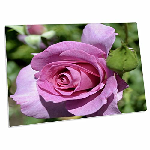 3dRose Patricia Sanders Flowers - Pink Rose III - Pad para escritorio
