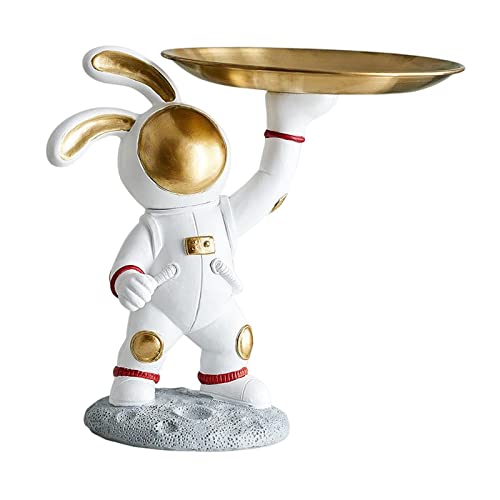 Qianly Moderne Aufbewahrungsschale, Kleinigkeiten, Armband, Schlüsselhalter, Figur, Schminktisch, Organizer für Kommode, Schreibtisch, Wohnzimmer, Schlafzimm, 23 cm x 17 cm x 22 cm Cover