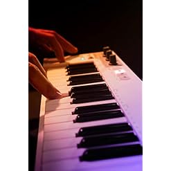 Arturia Keystep – Clavier de Contrôle Midi et Séquenceur Polyphonique - Les Beatles, Paul McCartney, John Lennon, RIngo Starr, George Harrison Arturia Keystep – Clavier de Contrôle Midi et Séquenceur Polyphonique – Image 5