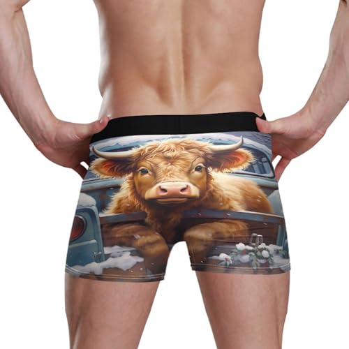 Highland Cow Animal Men's Boxer Briefs Underwear Stretch Breathable Boxer Briefs for Men Boys Kids S S04039763