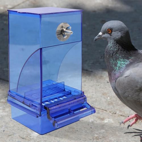 Alimentador automático de pajarera acrílico transparente con gran depósito de comida 4