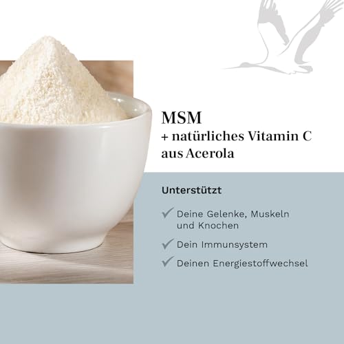 MSM + Vitamin C - 2000mg Methylsulfonylmethan + natürliches Vitamin C (Acerola) - 365 vegane Tabletten für 6 Monate - ohne Zusatzstoffe - laborgeprüft - Balanced Vitality
