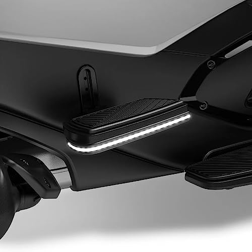 Can-Am New OEM, Passenger Floorboard Signature Night-Riding Lights, 219401153