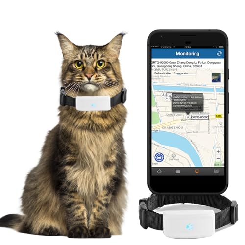 Localizador GPS para perros sin cuotas: seguimiento gratuito y eficaz GPS Gato Perro Sin Suscripción Requerida, Aplicación Gratuita Mini Y Compacto Seguimiento En Tiempo Real Collar GPS Gato Perro Prevención De La Pérdida Mascotas Winnes Tk911