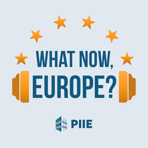 『What Now, Europe?』のカバーアート