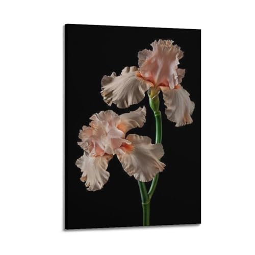 Poster artistique iris rose ZHOUKEG décoration murale premium