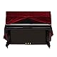 Klavierabdeckung Schwarz, Verdicken Klavier Abdeckung Piano Staubschutz Klavier Abdeckung Schutzhülle mit Gefalteter Saum Klavierzubehör Dekoration 158 x 45 x 112cm (Rot)
