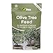Price comparison product image Vitax Olive Tree Feed, Suitable For Borders, Pots & Containers, Encourages Healthy Growth: 0.9Kg Pouch