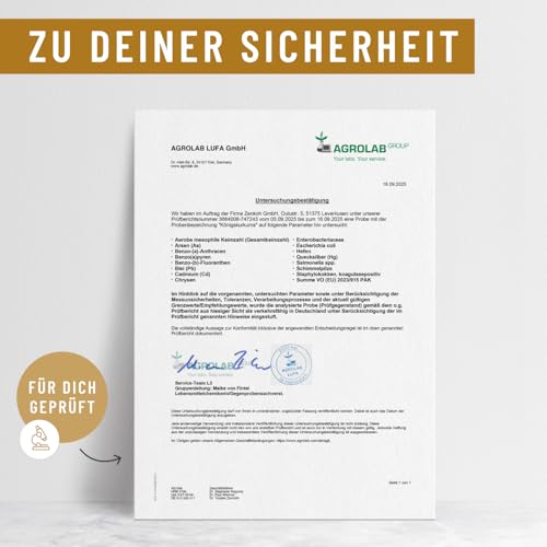 Kurkuma Kapseln hochdosiert: Extrakt einer Kapsel entspricht 15.000mg Curcuma - hochdosiert 95% Curcumin pro Kapsel - Kurkuma Komplex mit Piperin und Vitamin C - Vegan