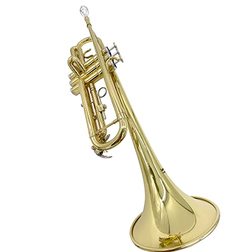 TEACHER APPROVED! Carolina Winds CW201TPT Premier Bb Trumpet
