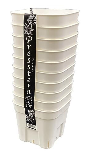 日本ポリ鉢販売(Japan Porihachi Hanbai) プレステラ105 10個組 ホワイト
