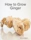 How to Grow Ingwer