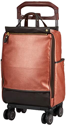 [\Ge] X[cP[X @ Jh No.55793 21L 43 cm 2.3kg eRb^