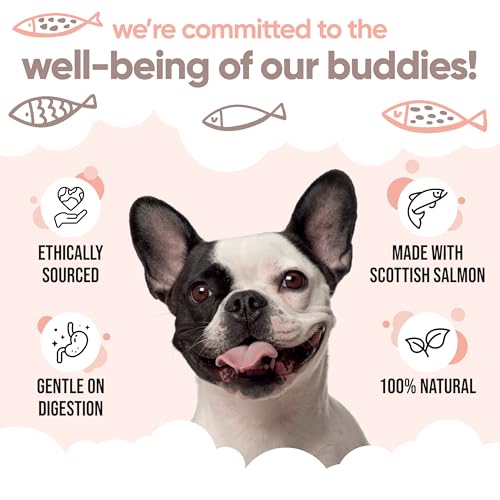 Buddycare Scottish Salmon Oil for Dogs and Cats (1L x2) 100% Natural & Sustainable Supplement | Rich in Omega 3, 6 & 9 for Boosting the Health & Vitality of your Pet’s Skin, Coat & Immune System - Image 6