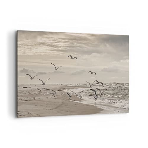 Cuadros Decoracion Salon Gaviotas Costa Boho Lienzos decorativos 120x80cm Cuadro Sobre Lienzo Moderno Dormitorio Cocina Cuadros Pared Imágenes Wall Art Prints Decor Canvas Grande XXL AA120x80-4723