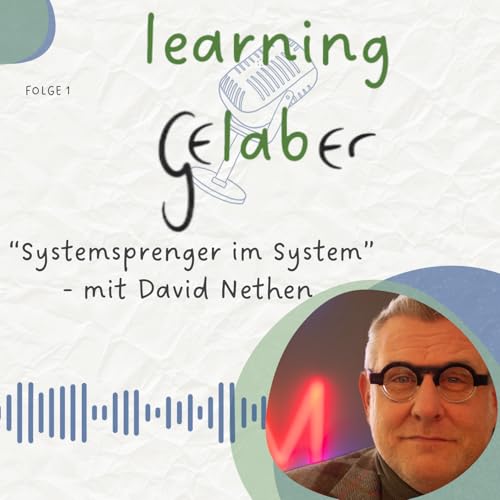 Learning Gelaber #1 &ndash; Systemsprenger im System: David Nethen &uuml;ber Mut, Projektlernen und Transformation