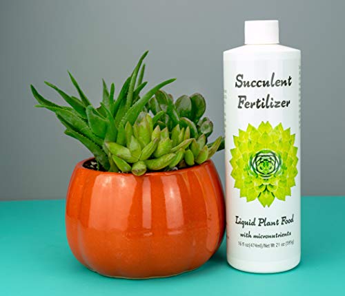 Succulent Fertilizer (16oz) Formulated Succulent Food for Potted Indoor Succulents and Cactus | Nutrients for Cacti and Succulent Plants | Plant Food for Succulent Soil in Pots | by Aquatic Arts