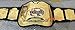GRD World Tag Team Wrestling Championship Replica Title Belt Adult Size