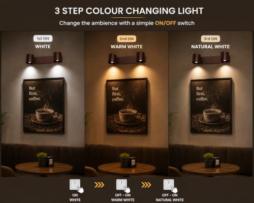 Image of FILLISKA 3 in 1 Double Wall spot /Picture /Display /Mirror Light with Adjustable Head and Colour Changing Function