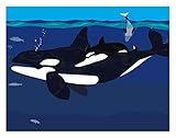 baby art print frame natural  Puget Sound Orca Mother and Baby Art Print