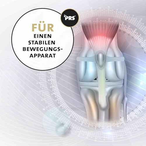 Peticare Gelenk-Pulver für Katzen | Mit MSM, Kollagen | unterstützt Gelenke, Bewegungsapparat, Beweglichkeit, nach Belastung | Keine Tabletten, Kapseln | Ergänzungsfutter-Mittel - petCat Health 3502