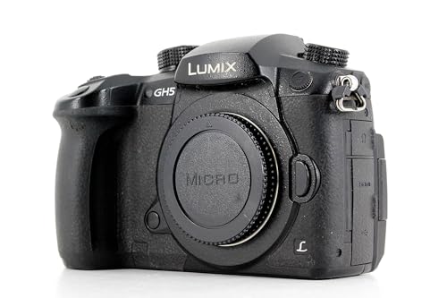 Panasonic Lumix DC-GH5 Appareil Photo Evil de 20,3 MP, écran de 3,2', viseur OLED, stabilisateur Dual I.S. 2 5 Axes, 4K, Wi-FI, Bluetooth