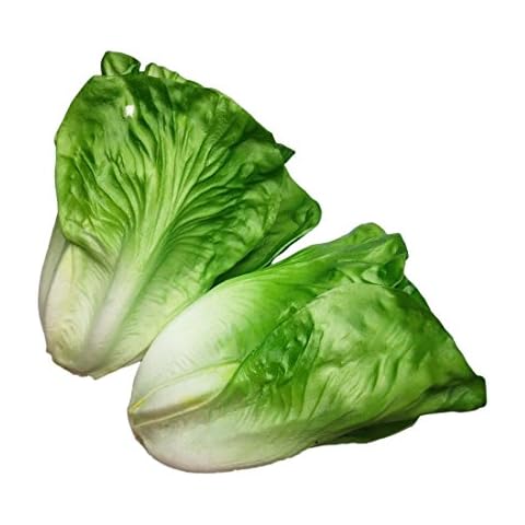 Lorigun Artificial Lettuce, PU Vegetable 2 Pcs Cover