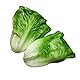 Lorigun Künstlicher Salat, Gefälschtes Gemüse, Künstliches Gemüse Für Dekoration, Home Kitchen Decor, PU Gemüse 2 Stücke