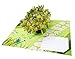 Lemon Tree,WOW Greeting Pop Up 3D Card For All Occasions,Birthday, Love, Christmas, Mother's Day, Good Luck, Congrats, Get Well,Handcrafted With Love,Proud USA Brand