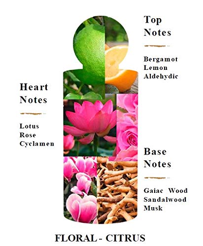 Scotch & Soda Vrouwen Edp Spray 90ml - Afbeelding 6