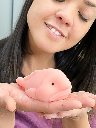 Squishy Blobfish – 2 Pack – Funny Ugly Cute Blob Fish Squishies – Novelty Gift – Squish Stress Relief Toy – Make Everyone Laugh – Gag Gift for Family, Coworker, Classroom