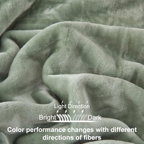 Image of JYK Fleece Plush Blanket - 3.5 LB, 1 Ply, Korean Mink, Queen 79 inch x 91 inch - Super Soft and Warm, Lightweight, Cozy Fuzzy Solid Color Green