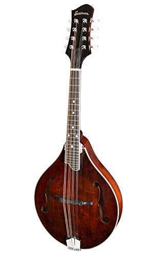 Eastman MD505 A-Style Mandolin, F-Holes, with hard case