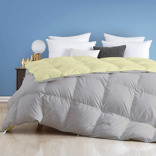 Image of Day Care - 500 GSM Hotel Quality-Down Alternative Reversible Comforter (60 inch x 90 inch Inches /228cm x 228cm) - Comforter Single Bed|Ivory /Silver