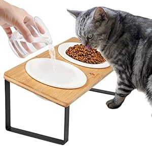Futterstation Katzen Erhöht | Katzen Fressnapf Katze Erhöht | Ergonomischer Katzennapf Erhöht Keramik Napf Katzennapf Erhöht | Katzen Futternapf Katze Erhöht | Fressnapf Katze Holz Keramik (Holzfarbe)