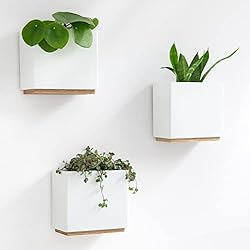 Macetero Blanco Pared Kazai. Jardineras de Pared -Alma- | 3 Macetas Colgantes Modernas de Resina | Set de Porta Plantas para Plantas de Interior, Plantas Artificiales y más | Blanco