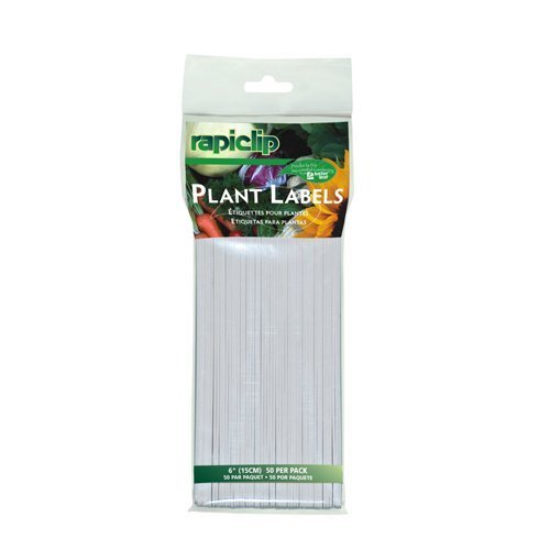 Lustre Feuille 840 50pk 15,2 cm Plante à Imprimer 6"