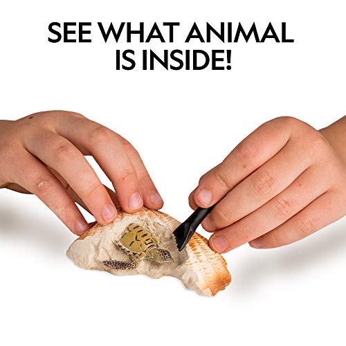 National Geographic Ocean Animal Dig Kit – 12 Seashell Shaped Dig Bricks With Sea Creature Figure Inside, Party Activity With 12 Excavation Sets, Stem Toy For Boys & Girls Or Fun Party Favors #TOP1