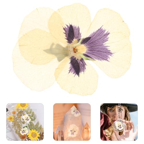 Flores secas prensadas para manualidades 36 pcs miniatura 3