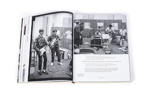 The Beach Boys vinyle album indispensable pour les collectionneurs - 5